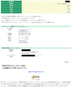 支払画面